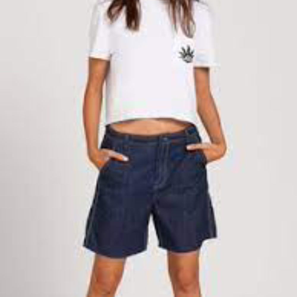 Volcom Carpenter Fit Painterly Short